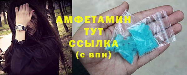 прущие грибы Бородино