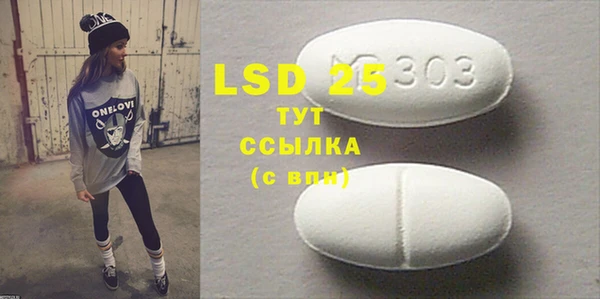 прущие грибы Бородино