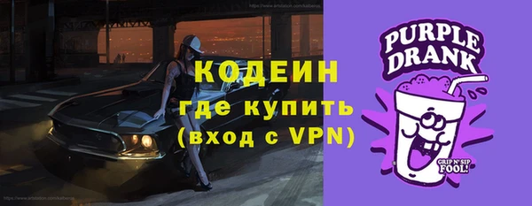 прущие грибы Бородино