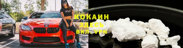 прущие грибы Бородино