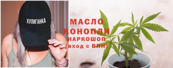 прущие грибы Бородино