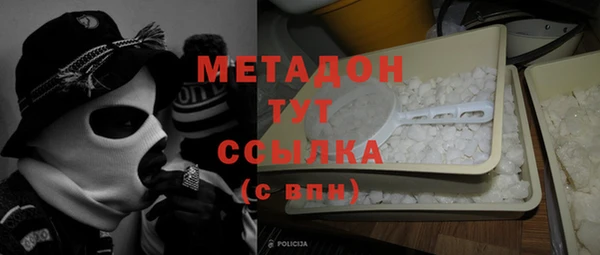 прущие грибы Бородино