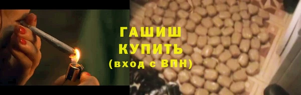 прущие грибы Бородино