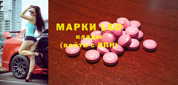 прущие грибы Бородино