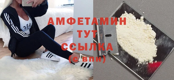 прущие грибы Бородино