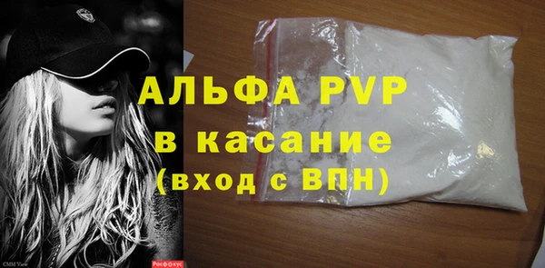 прущие грибы Бородино