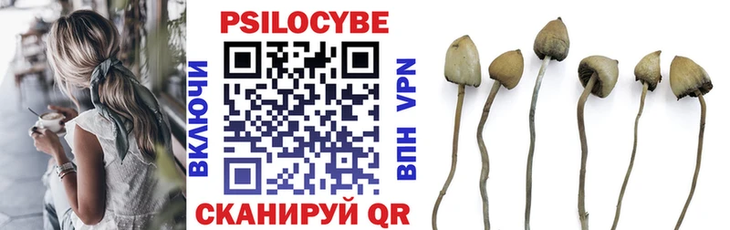 Галлюциногенные грибы Psilocybine cubensis  Ханты-Мансийск 